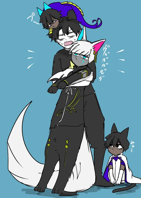 12キロキャッツ