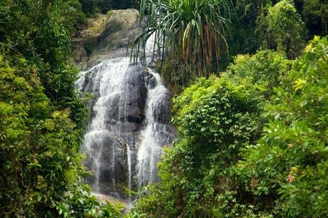 jstm_mali's tweet image. COP30 : la Côte d’Ivoire ambitionne un reboisement de 170 000 hectares de son couvert forestier d’ici 2029
Ce programme, qui s’étend jusqu’en 2029, vise à reboiser et réhabiliter 170 000 hectares de forêts, dont...
#environment #COP30 #COP29 #reboisement
scienceetsociete.com/cop30-la-cote-…