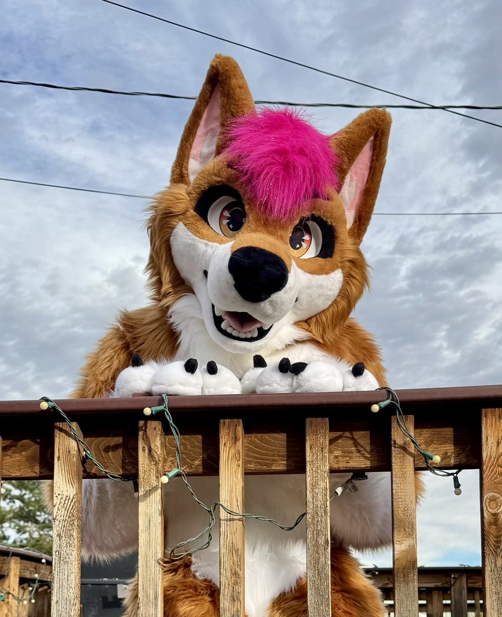 Bey - SBR IS WEEKLY LFG!!!! tweet media