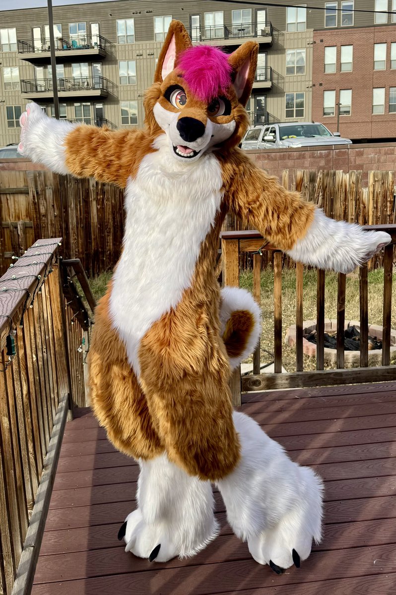 Bey - SBR IS WEEKLY LFG!!!! tweet media