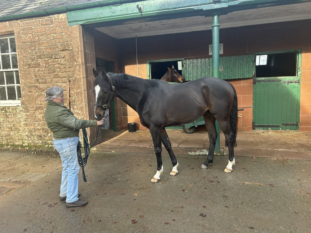 Crystal Guard is looking fantastic and enjoying his break. We can’t wait to see him in action again in early 2026!