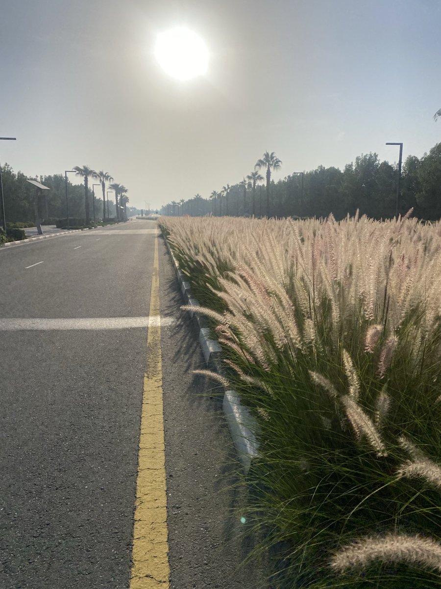 PinkTaxiRunner's tweet photo. What is the sun itself but one of a billion insensible stars forever going nowhere into nothingness? #RichardYates #everysinglestreet https://t.co/SXtVgfeXmX