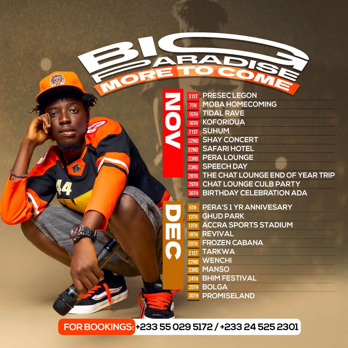 Big Paradise tweet media