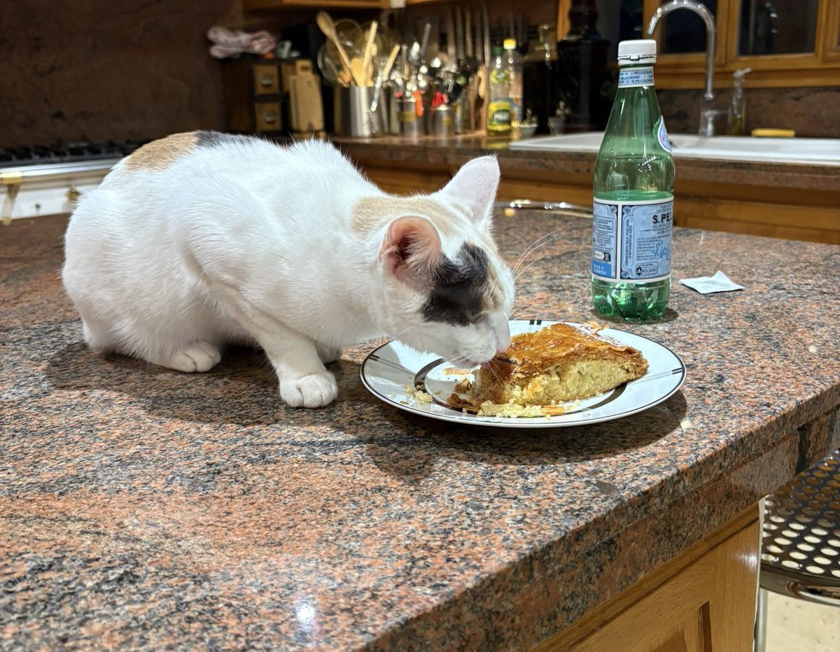 Je fais deux heures de route aller-retour pour accomplir une démarche administrative...🐝🐝🐝
Je m'arrête en route pour acheter une part de Pithiviers...
Je rentre, je me fais un thé car j'ai froid....
Et la gamine Julia boulotte mon goûter !!!😡😂😂💋💋💕💕