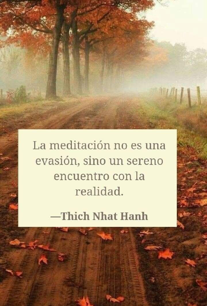 Namaste_mandalas tweet media