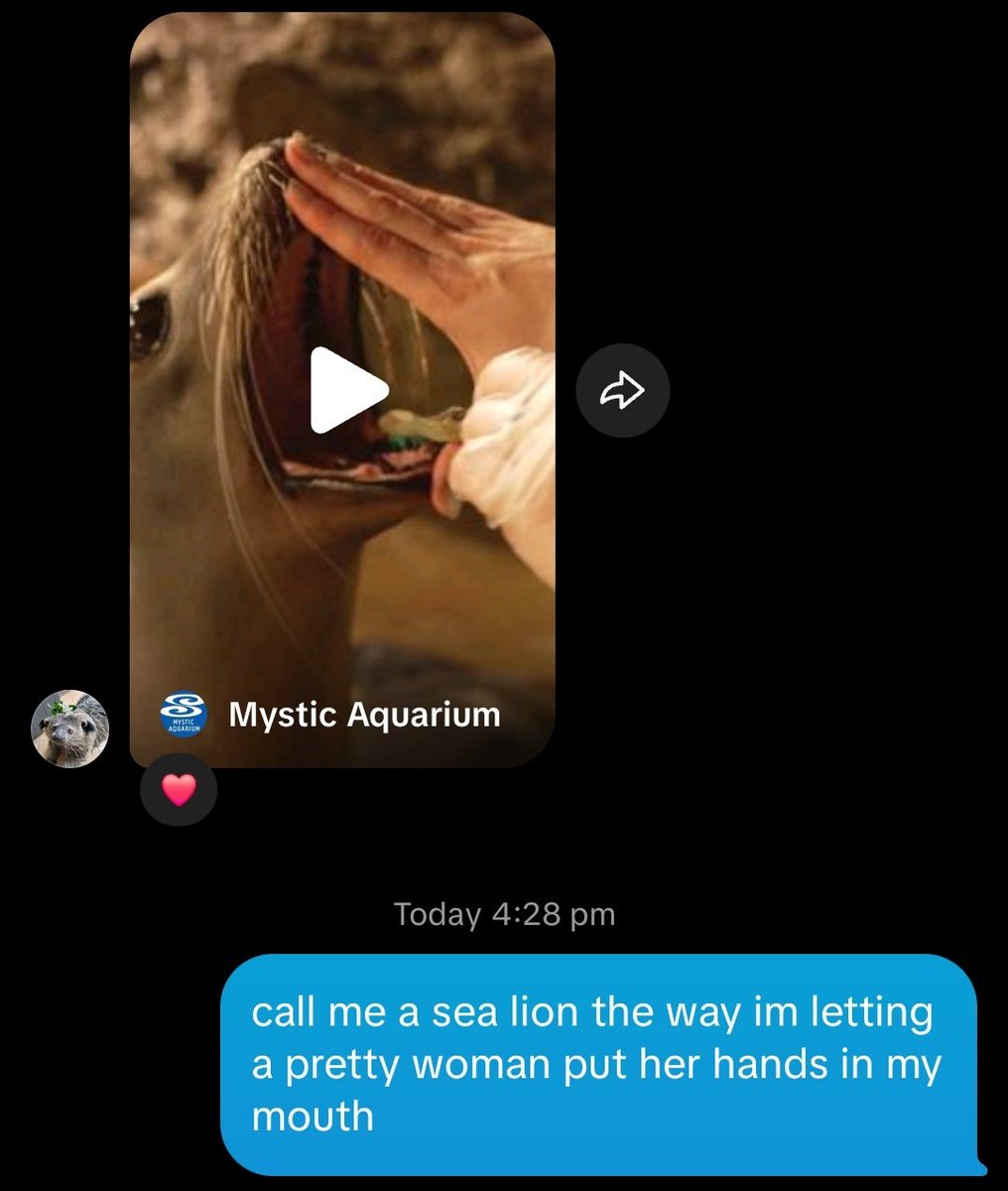 Rae🦭 (no.1 fur seal fan!) (@anarchimejoshi) on Twitter photo 