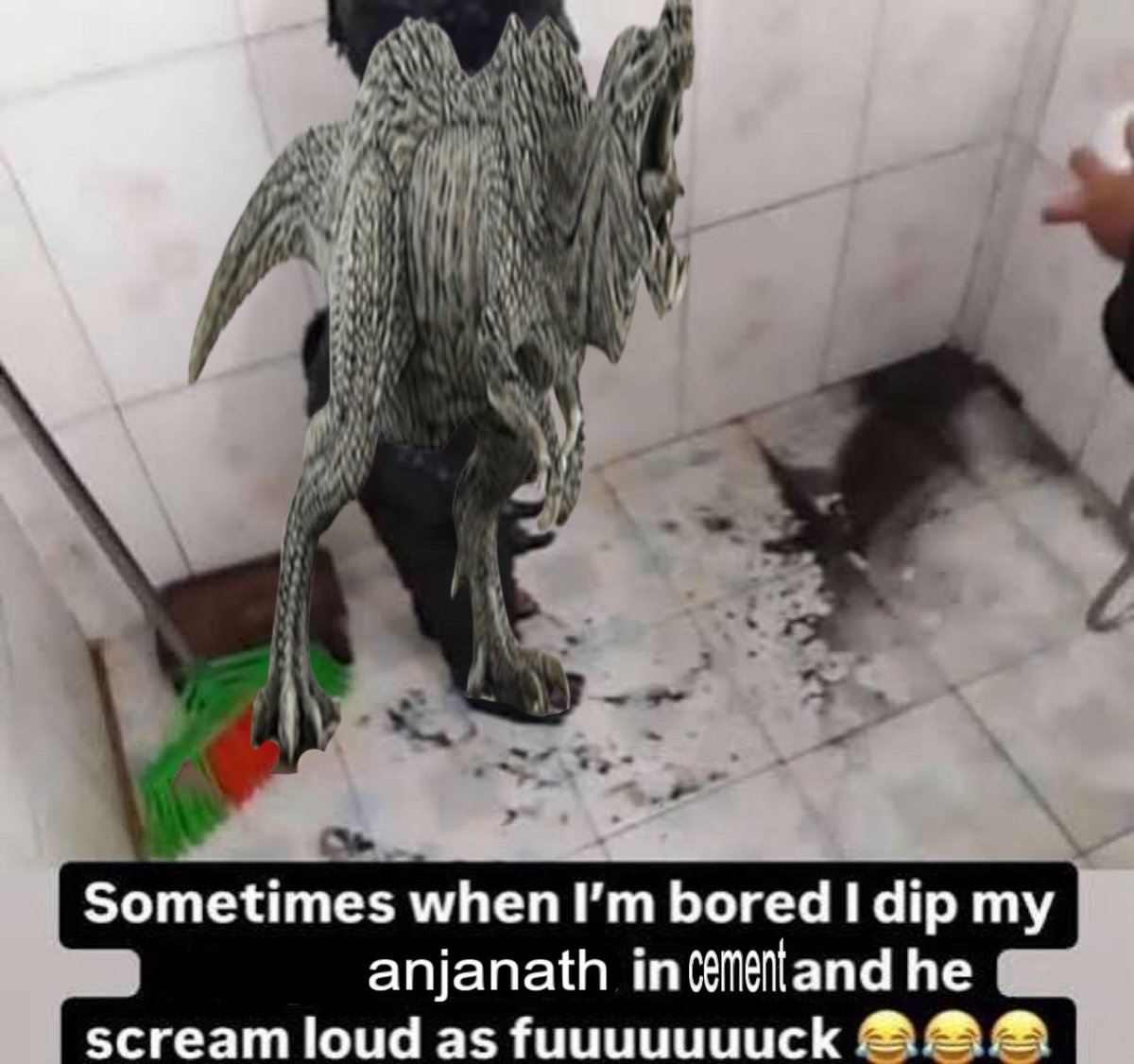 Fishmonger (@tendiemonger) on Twitter photo 