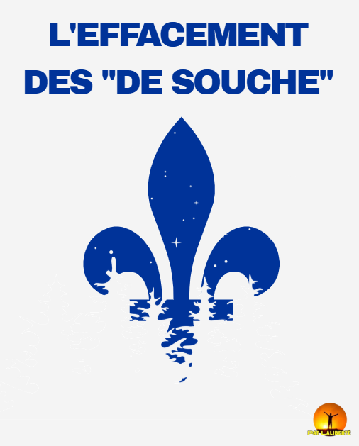 ÉVOLUTION DE LA POPULATION FRANCOPHONE DE SOUCHE AU QUÉBEC : 1960 À 2025, L'EFFACEMENT DES ''DE SOUCHE''

Pour clarifier, il faut établir que la notion de population francophone de souche désigne généralement les personnes dont la langue maternelle est le français et qui sont