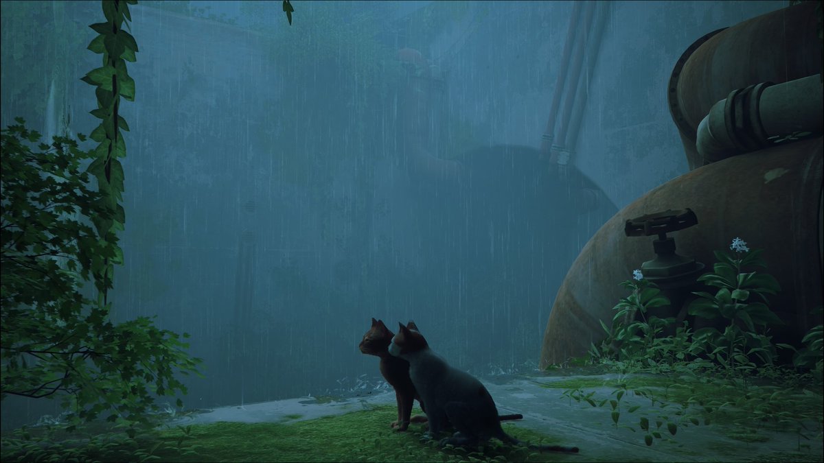 C0deVeronica's tweet image. #Stray 🥺