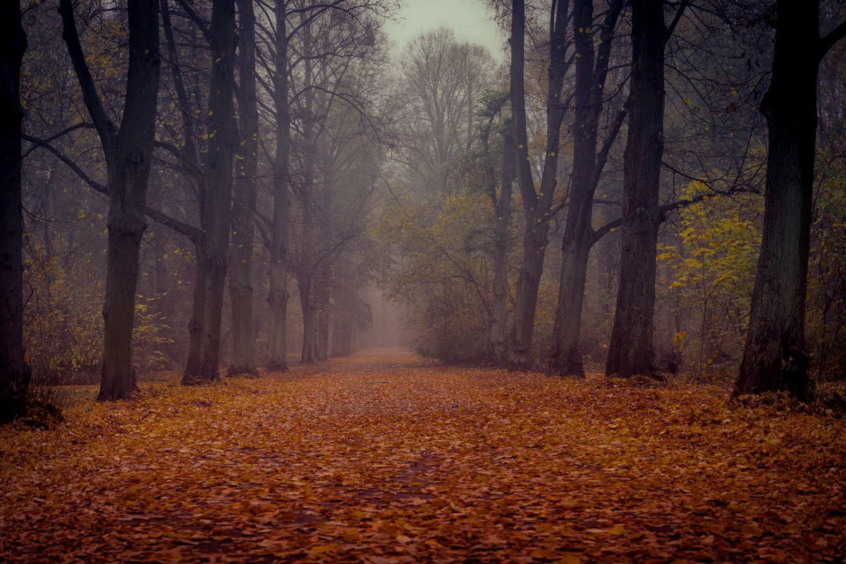 L'autunno sta finendo...