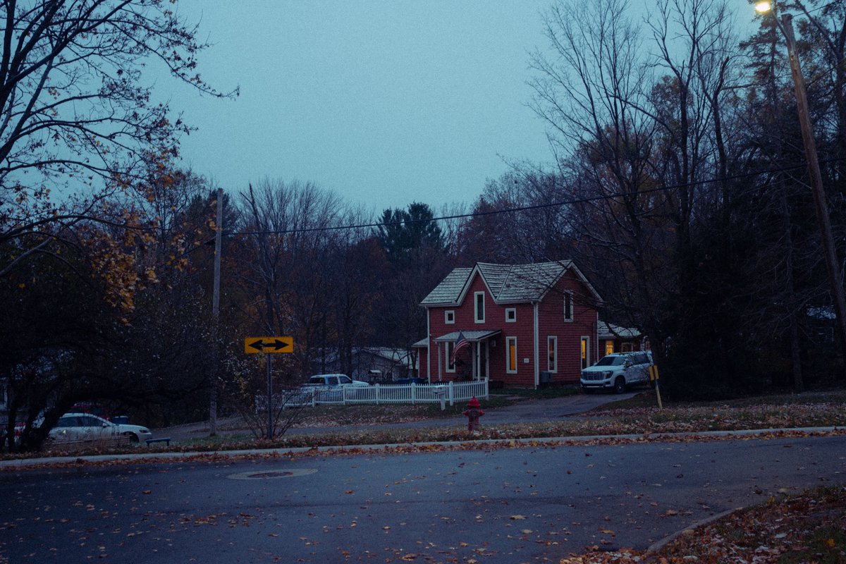 levi 😸 tweet media