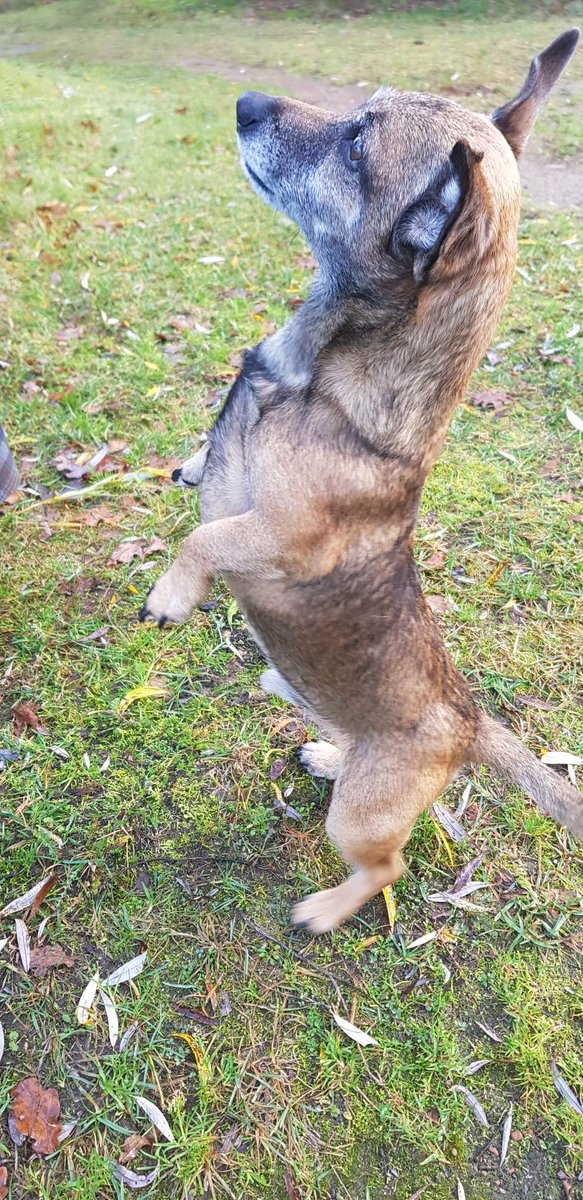 Garšīgie? Dod man, dod!