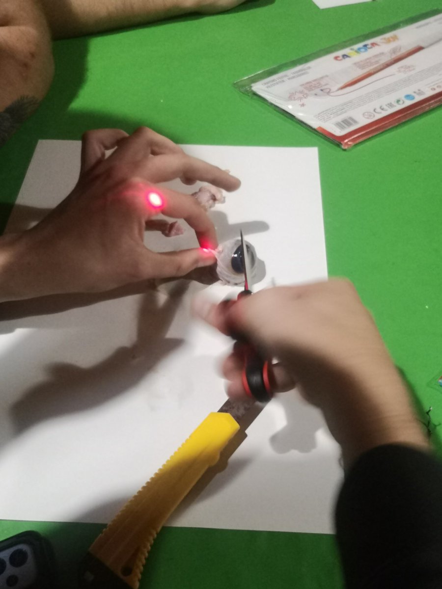 eXplorium tweet media