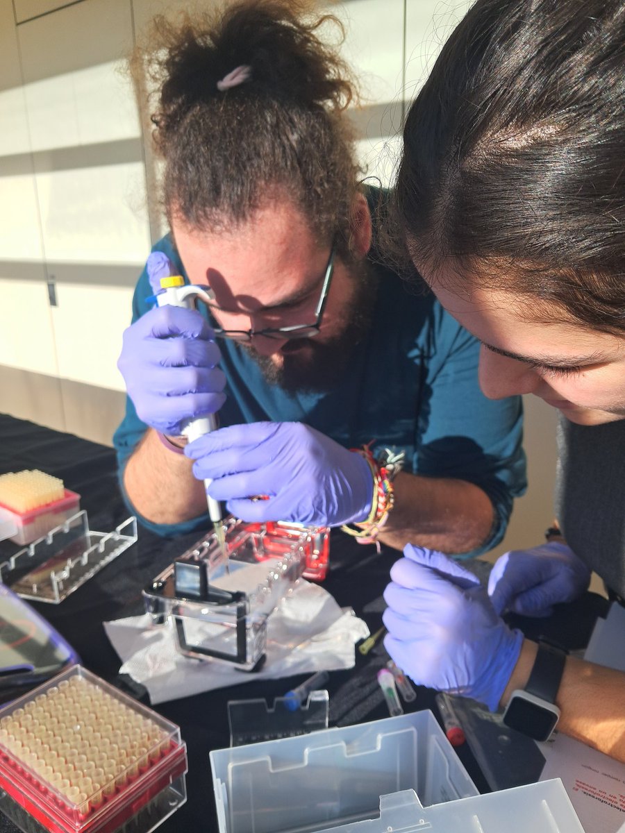 eXplorium tweet media