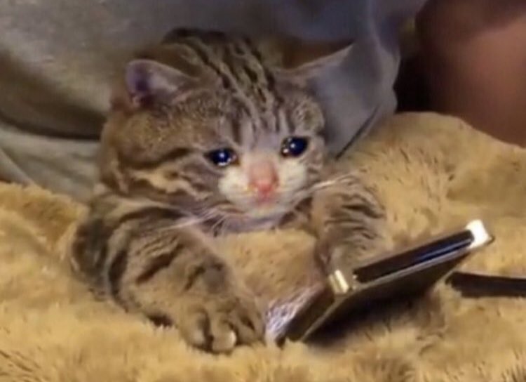 şu şekilde mesaj gelmesini bekliyorum. sevgilimden değil bakanlıktan. #SağlıkçıGöreveBaşlasın