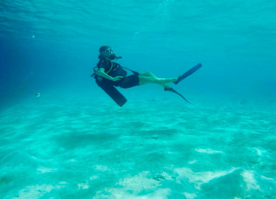 scubadivingyard's tweet photo. Scuba Diving๐ ๐๐ก
.
.
.
#scubadiving #17meters #underwater #lifeexperience #traveler #explorer #adventure #sealover #Maldives https://t.co/HZFyguviYr