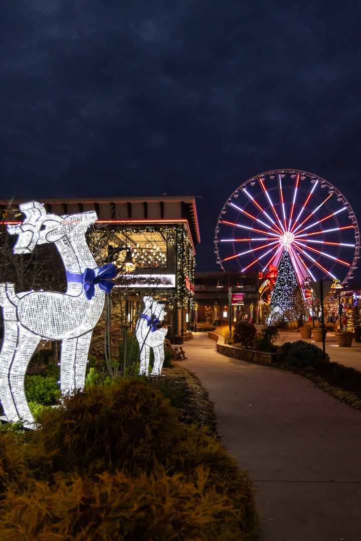 My_PigeonForge's tweet photo. What a bright time in Pigeon Forge! ✨

From lights, décor and celebrations all throughout town, it's no secret that Pigeon Forge is a dream destination for the holidays: https://t.co/3gjcr3HrIc 

#DreamDestinationDay https://t.co/cemH5PKSq6