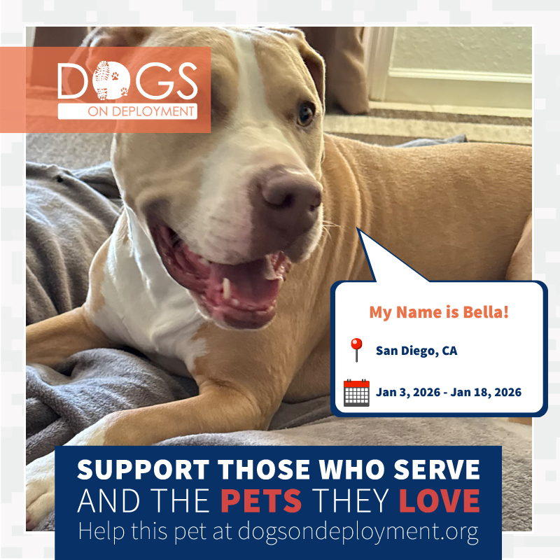 Dogs on Deployment tweet media