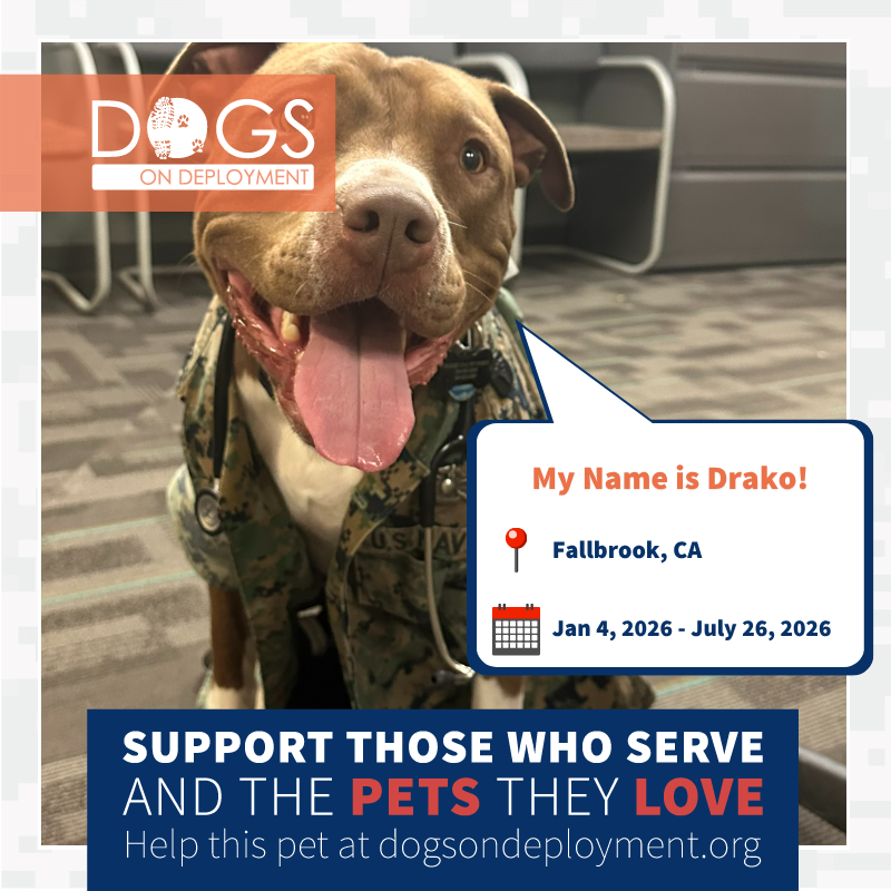 Dogs on Deployment tweet media