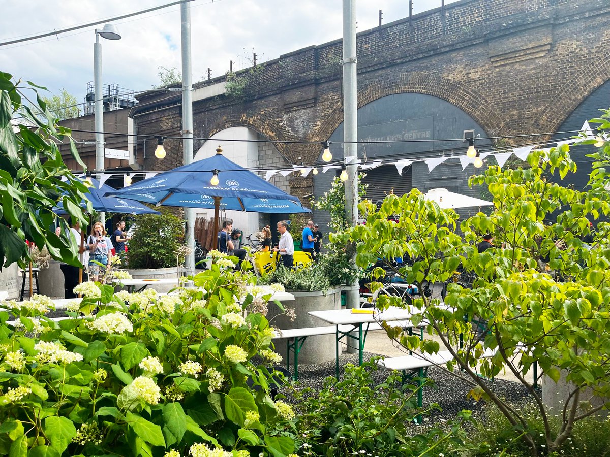 MacfarlaneAssoc tweet media