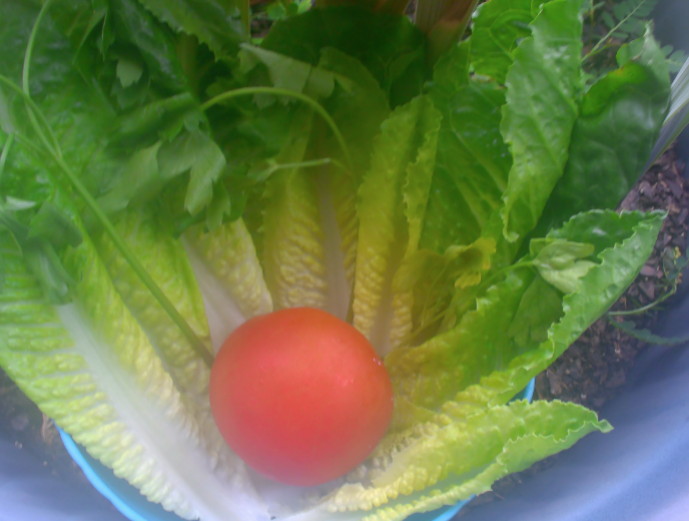 ✨ Congrats to our Red Devils for their achievements in the Russell County 4-H Photography Contest! 🏅 2nd Place: Makenzie Sickelbaugh (advancing to state) 🏅 3rd Place: Payton Wilburn. Proud of their creativity and hard work! Keep shining! 📷