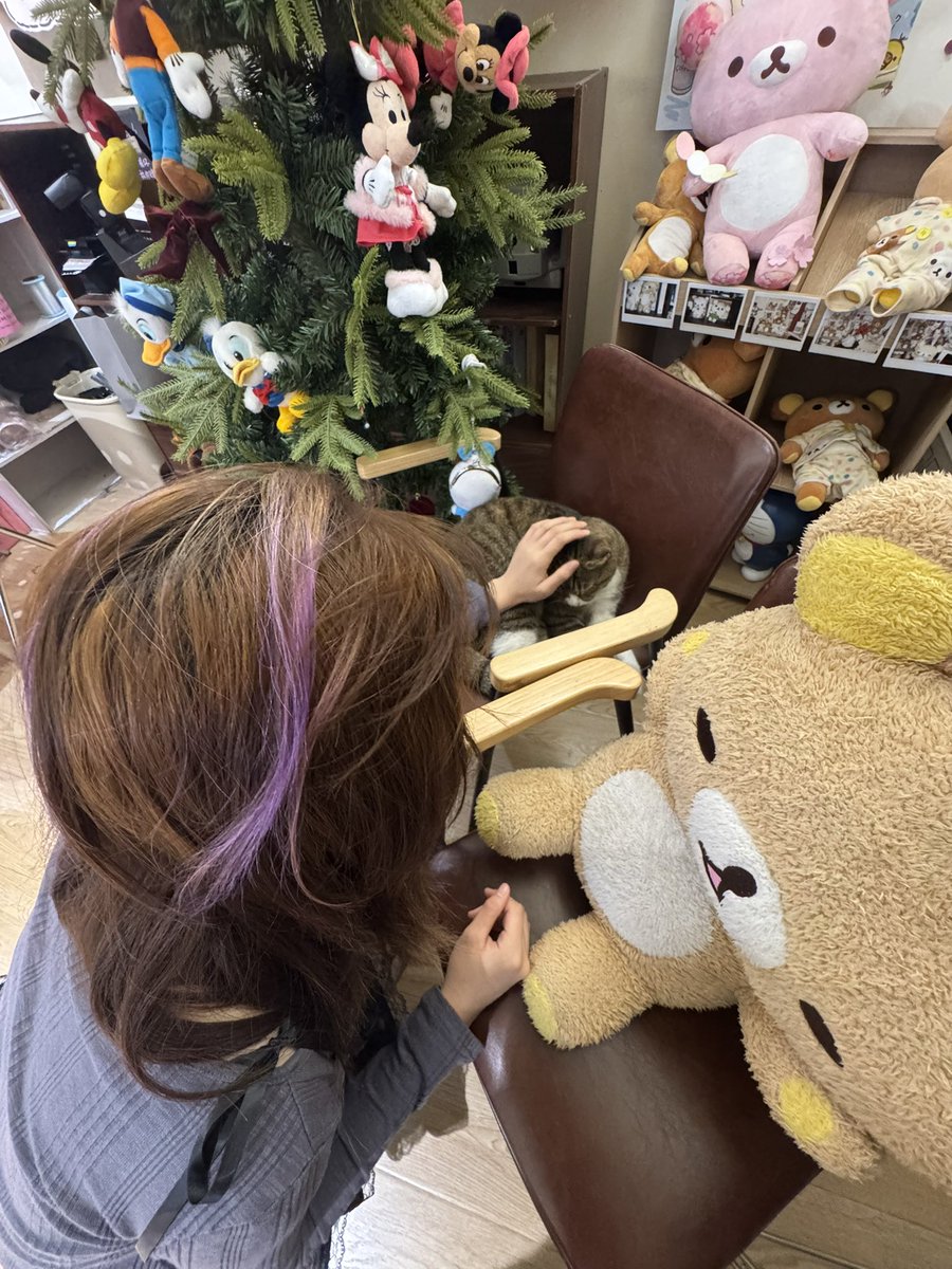 Evil7o_X's tweet image. 主人和小猫小狗玩