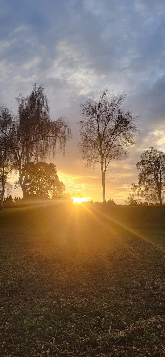 USiebmann's tweet image. Ein schönen Abend noch an Euch