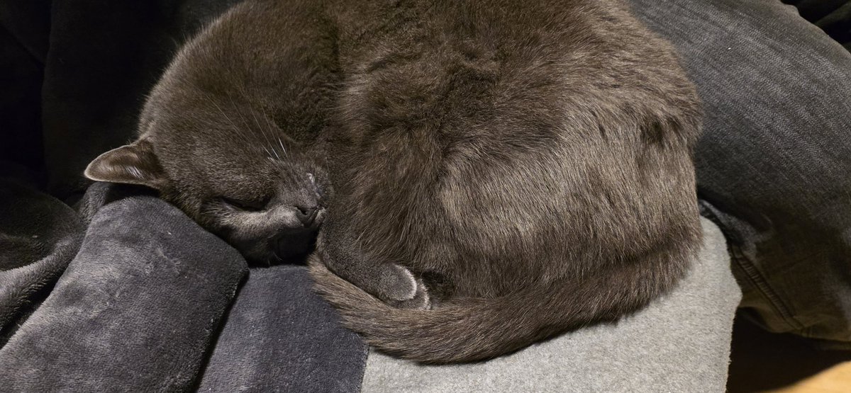 RetardGoch's tweet image. Mal ein bisschen Kadsengontent von mir. Hab schon lange keine Bilder mehr pfostiert