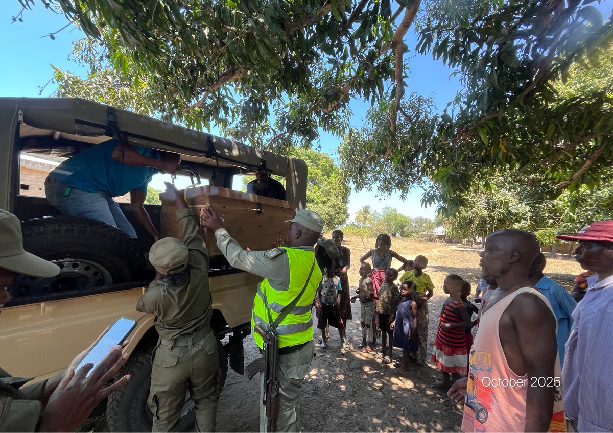 weareakashinga's tweet photo. In recent months, Akashinga teams in Coutada 5, Mozambique, rescued and released two pangolins held illegally. Swift action and local cooperation made it possible - another step forward in protecting one of the world’s most trafficked mammals. #Akashinga #WildlifeProtection https://t.co/Wh9blHyQcH