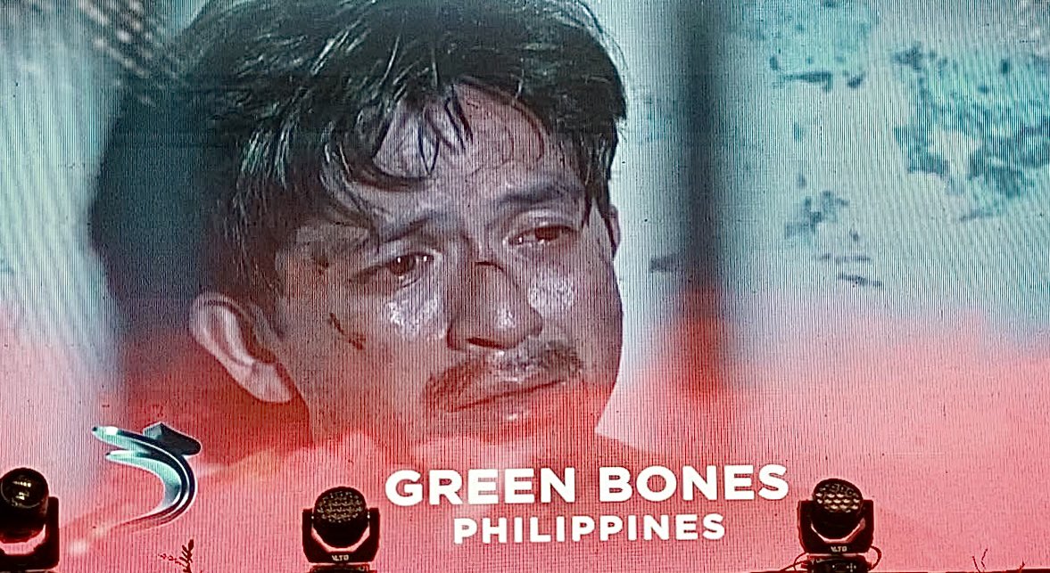 GMAPictures's tweet photo. Another honor for Dennis Trillo 👏🏽

Dennis earns a Best Supporting Actor nomination at the #AIFFA2025 for Zig Dulay’s ‘Green Bones’ 💚

Thank you, ASEAN International Film Festival &amp; Awards!

📷 Mell Navarro

#GreenBones #DennisTrillo https://t.co/MW8pk84OWu