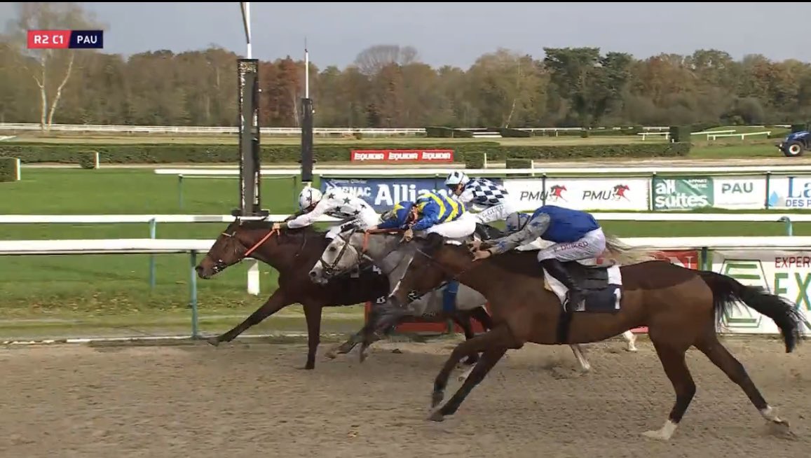 AgaloparTurf's tweet photo. @ArizkorretaR también suma en Francia. Thundering, con @JanacekVaclav y un 7/1, vence por un cuello en Pau en una carrera de 10.050 euros y 2.000 metros. https://t.co/6vaa6WxvYq
