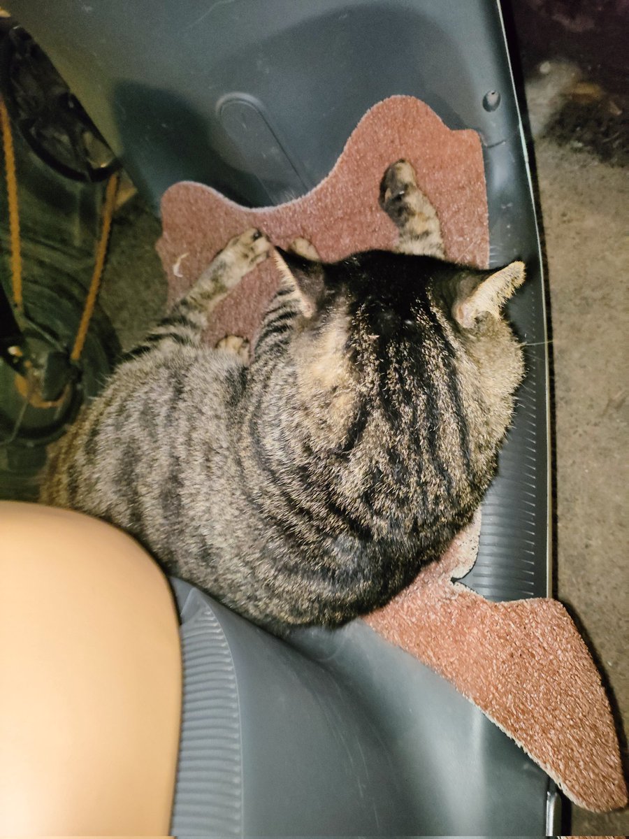 --沃!Vokem-- (@diymivokin) on Twitter photo 