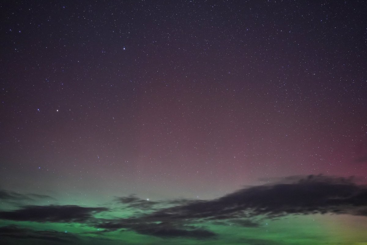 Things weren’t quite as out of hand last night, but I loved the variation of colors we got.