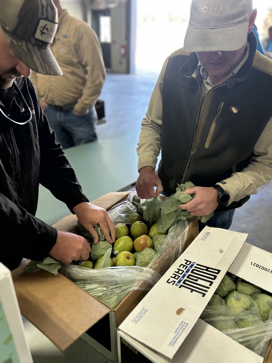 Mindy Taylor tweet media