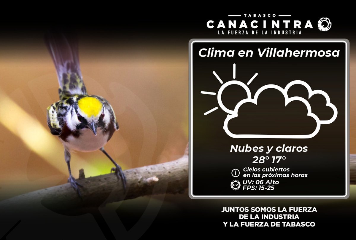 CANACINTRA_Tab's tweet image. #ClimaTabasco