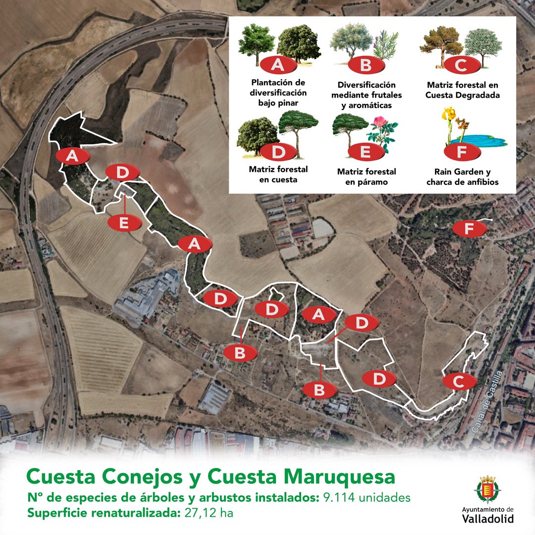 AyuntamientoVLL's tweet image. 🌳 El noroeste de Valladolid avanza en la restauración de la vegetación autóctona y la recuperación de ecosistemas degradados.

🔗 caminosdebiodiversidad.es/cuesta-de-la-m…

@FBiodiversidad #ProyectosPRTR #PlanDeRecuperación #NextGenerationEU @P_Recuperacion