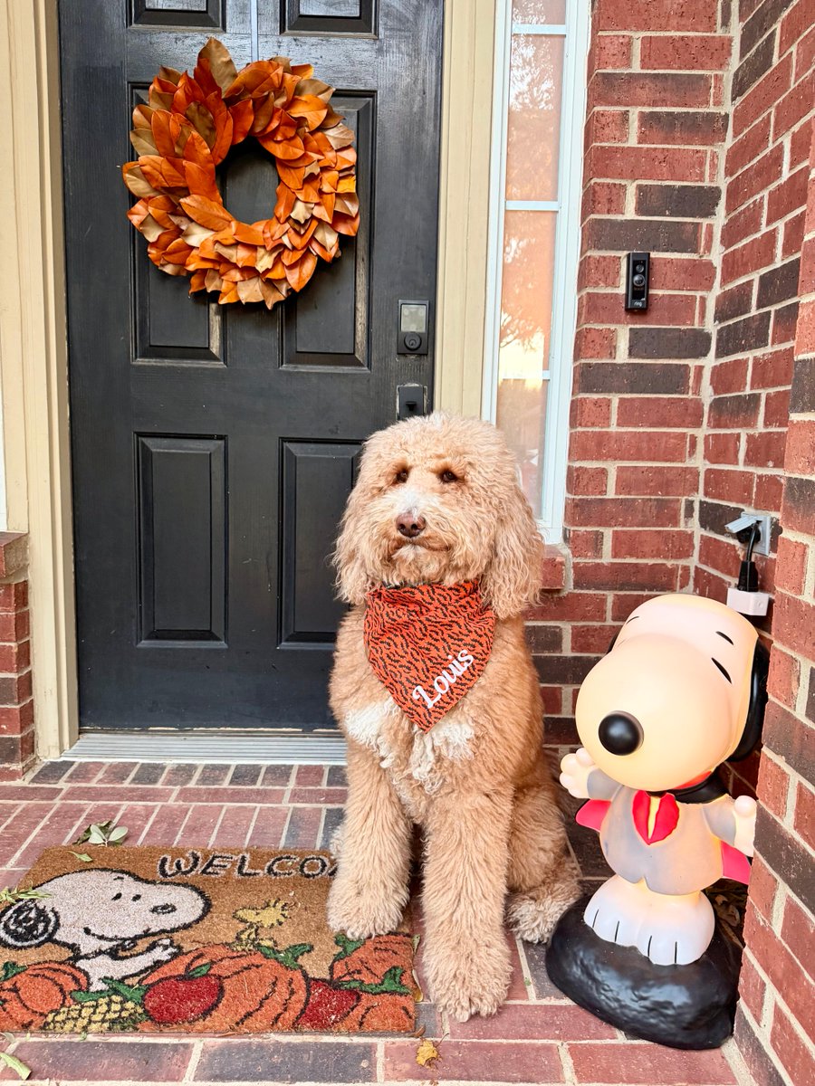 Brittany Flocken, MJ tweet media