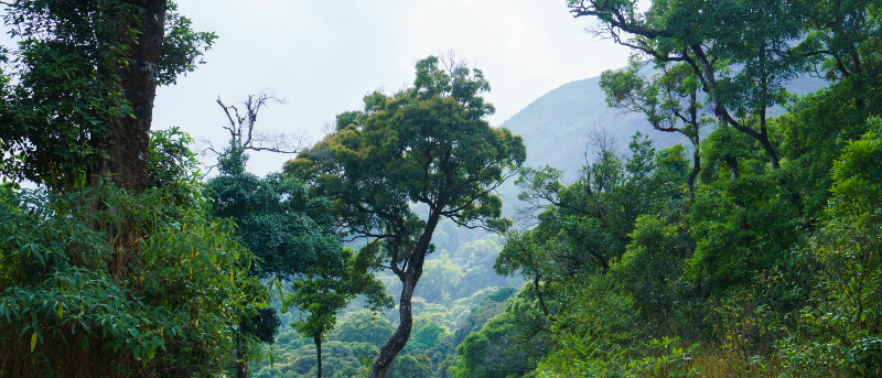 For COP30, we’re highlighting our recent Responsible Infrastructure Investment work in supporting COP30 goals, such as connecting climate change to individuals and the economy, and accelerating implementation. 

bit.ly/441IgLr