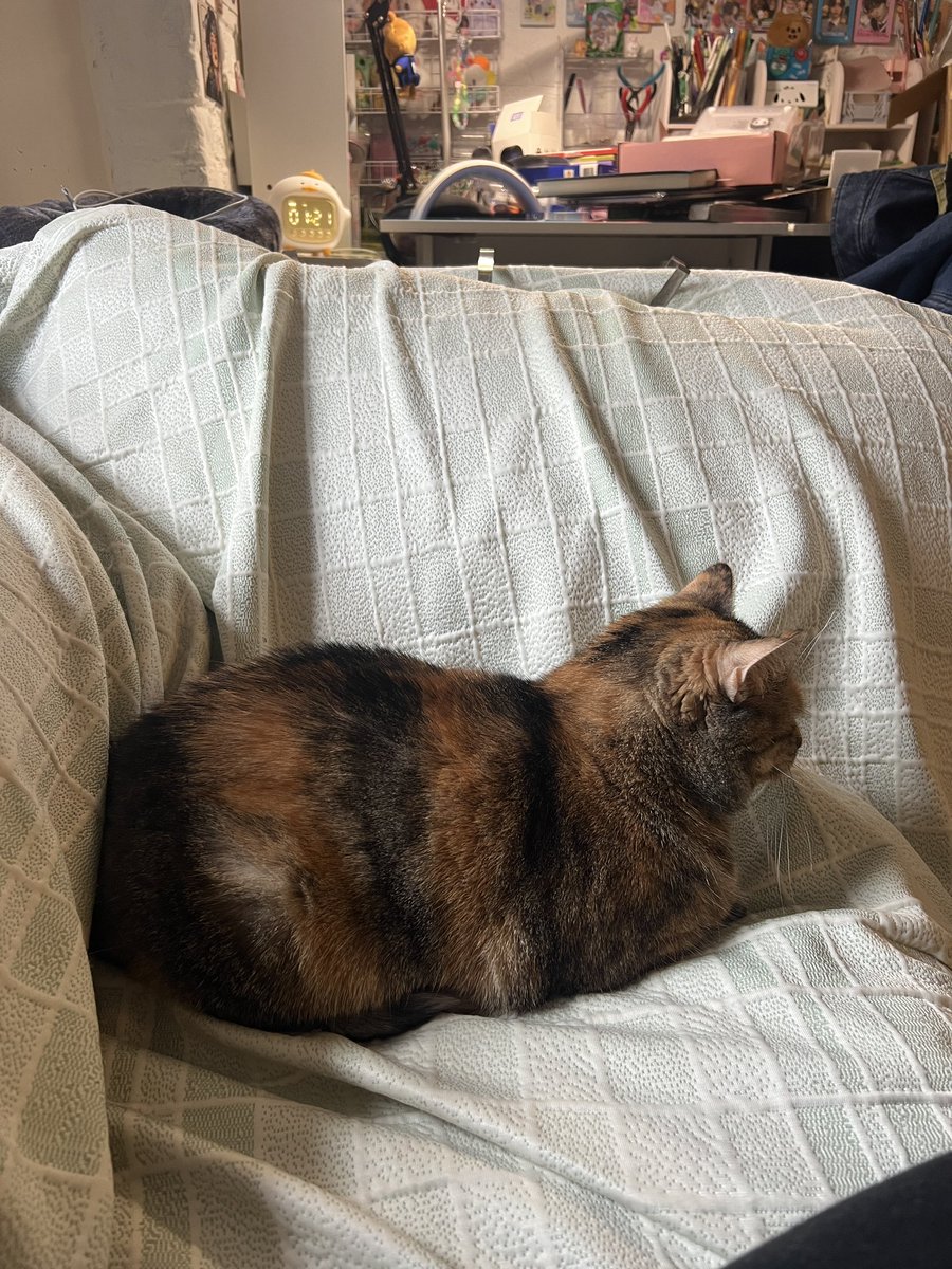 marbledacat's tweet image. biches wish they culd loaf like the me (marbol)