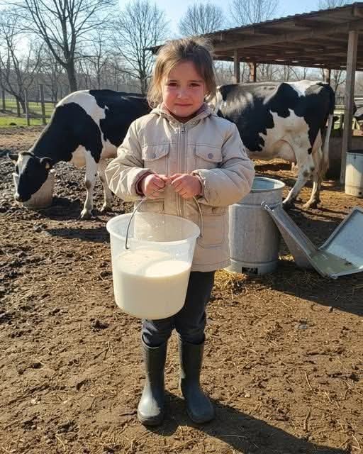 Љуба борац (@kucastarih) on Twitter photo 