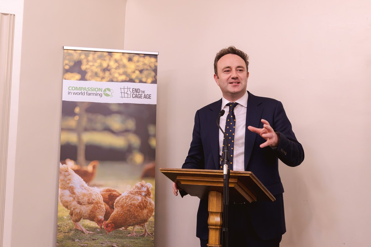 Compassion in World Farming UK tweet media