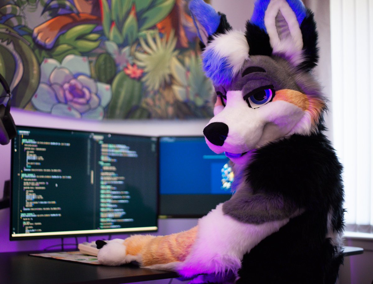 Code, compile, cuddle 🐾💻

(ignore the second monitor)