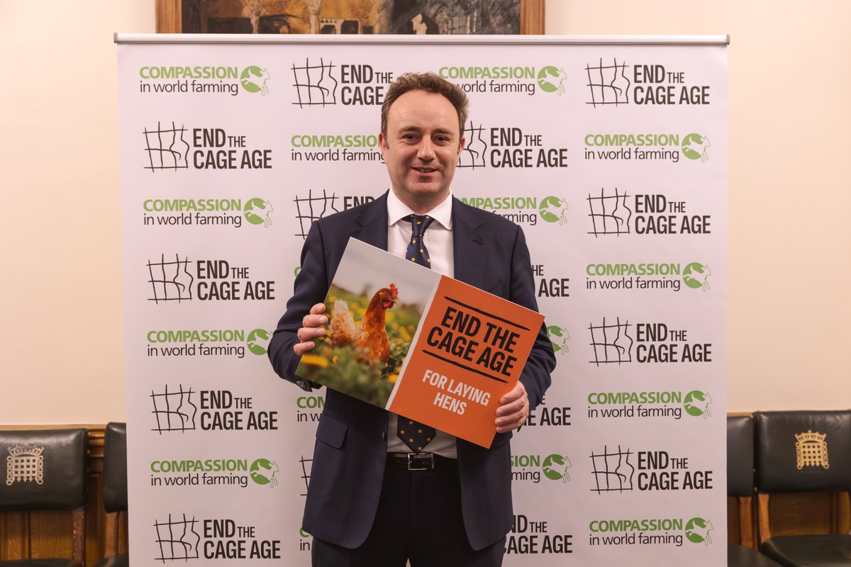 Compassion in World Farming UK tweet media