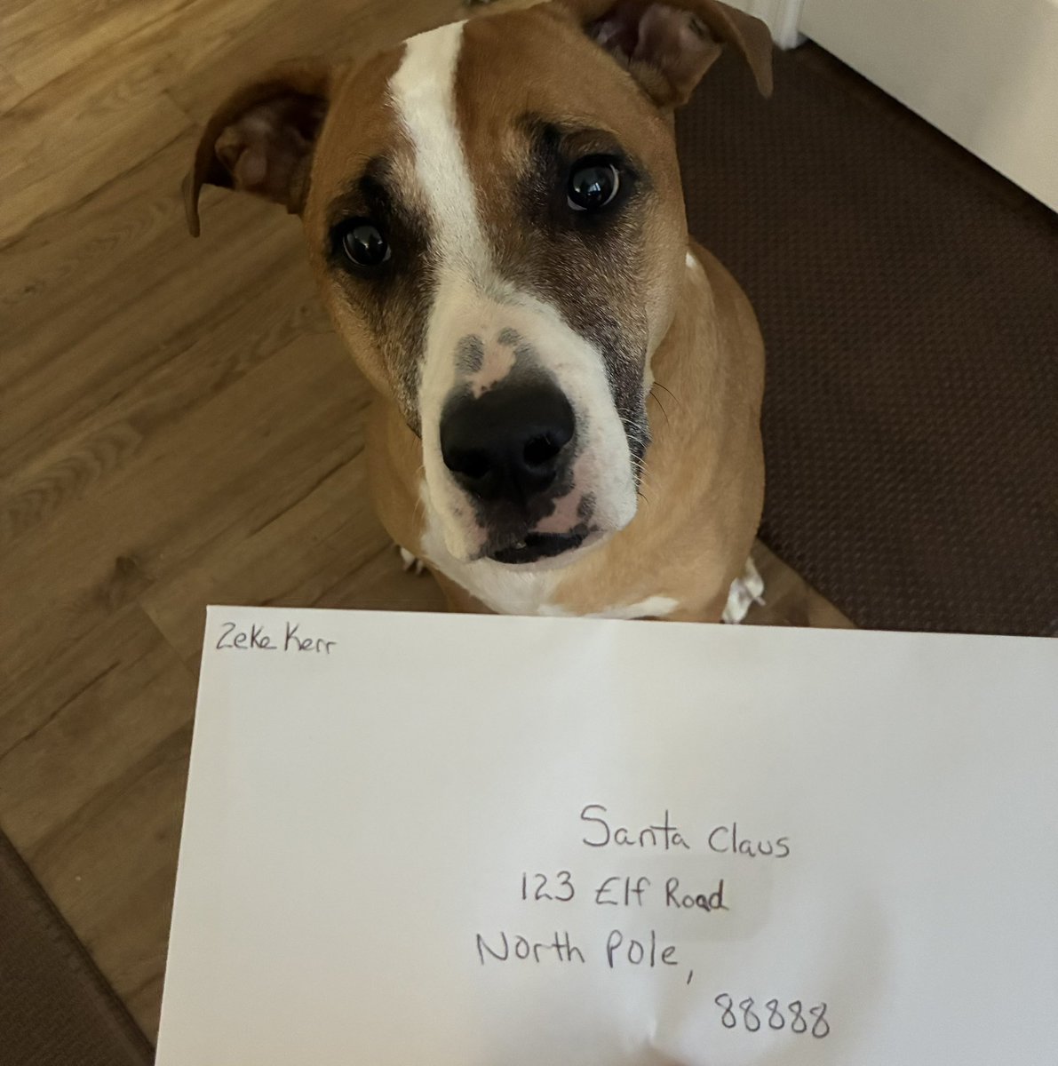 Here goes nothing! My letter to #Santa <a href="/santa/">Santa Claus</a> #SantaClaus has been written &amp; is on its way! #ZekesWishList #Christmas