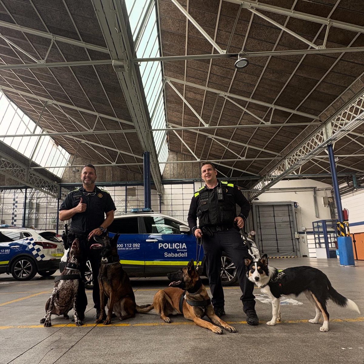 Ángela Vázquez tweet media