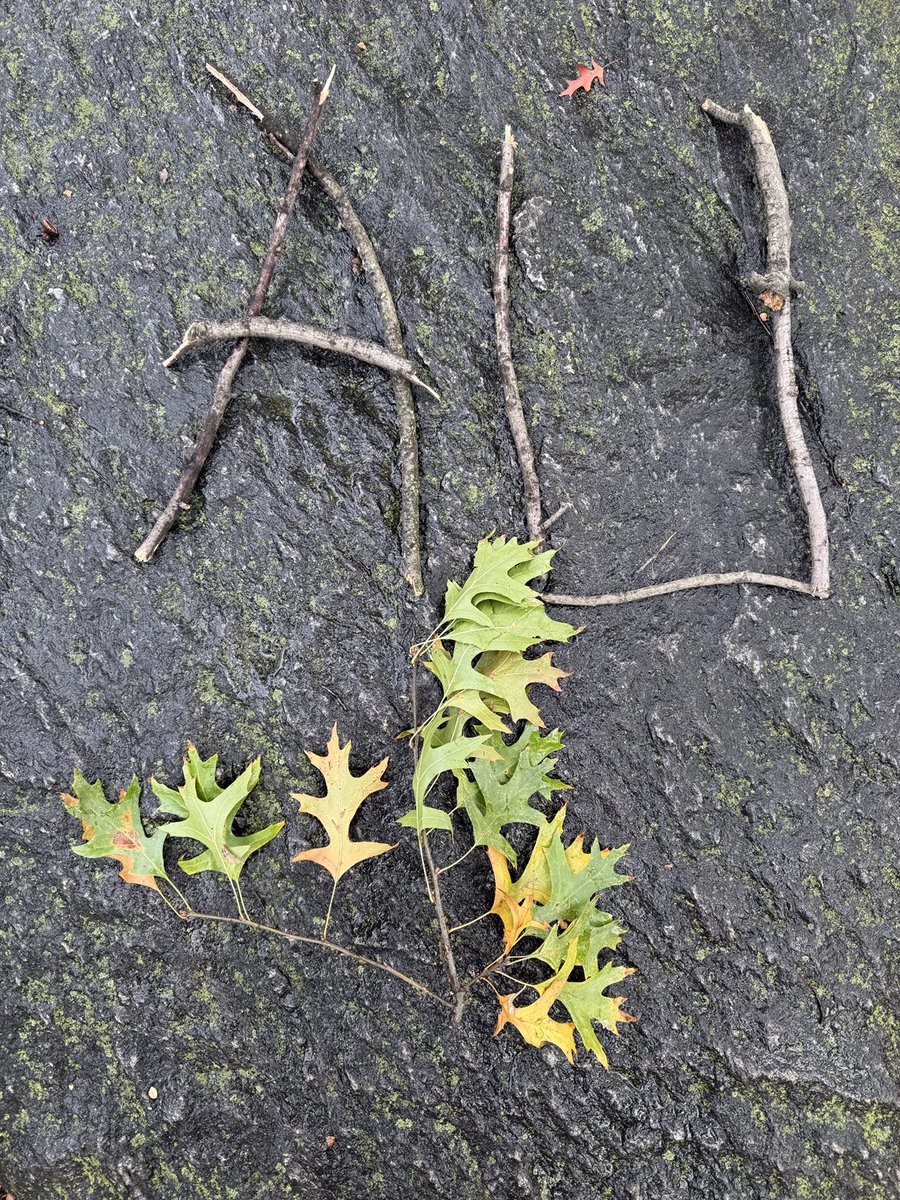 $AU Rules Central Park 

Team Shadowy Stealth Prep 

⁦<a href="/Ouroboros_ORX/">Stablenet_Protocol</a>⁩ Stable Network 

USDx Tech Expansion Ongoing 

$AU | $ORX will be a 🔥 👁️ Pair