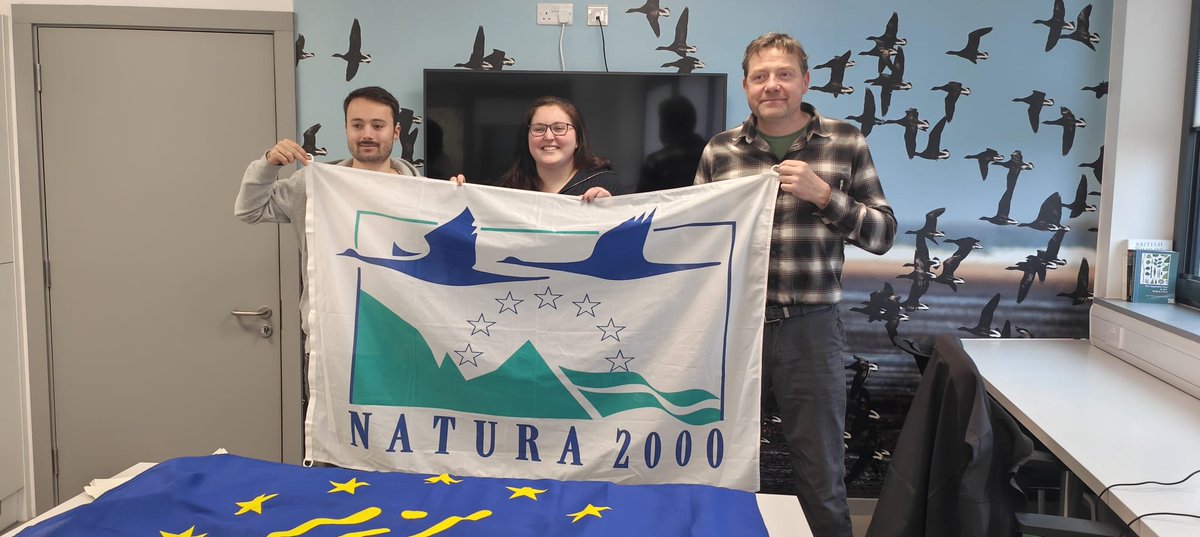 LIFE WADER tweet media