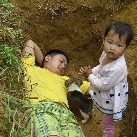 Cultination1's tweet photo. 🇨🇳Cet agriculteur chinois a creusé une tombe pour sa fille atteinte de thalassémie afin de « la préparer à la mort »  car il n’avait pas les moyens de payer le traitement.

En 2017, Zhang Liyong a appris que sa fille de 2 ans était atteinte d'une thalassémie sévère. Le traitement nécessitait une greffe de cellules souches hématopoïétiques, pour un coût avoisinant 130.000 €. 

Afin de sauver leur fille, Zhang Liyong et sa femme ont épuisé toutes leurs économies, sans parvenir à couvrir les frais médicaux.

Désespéré, le père a creusé une tombe de ses propres mains pour sa fille, espérant que si elle devait un jour quitter ce monde, elle puisse s'y préparer plus tôt. 

Zhang Liyong est resté auprès d'elle, dormant et jouant dans cette tombe de terre. Après la diffusion de la vidéo sur internet, elle a ému les internautes du monde entier.

Grâce à la force d'internet, des plateformes de financement participatif chinoises se sont mobilisées pour aider la famille, récoltant la totalité des frais de traitement en moins d'un mois.  

Plus réconfortant encore, suivant les conseils médicaux, le couple a eu une seconde fille ; le sang de cordon ombilical du nouveau-né s'est avéré compatible et a permis la greffe salvatrice pour l'aînée.

Plus tard, un entrepreneur bienveillant prit également en charge tous les frais de convalescence de l'aînée.

Après la sortie de l'hôpital de sa fille aînée, Zhang Liyong reboucha la tombe et y sema des graines de tournesol.
