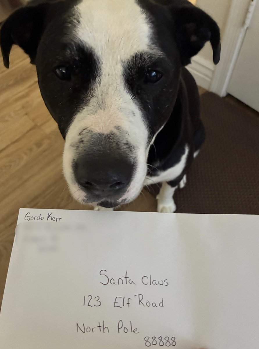 My letter has been dropped off at <a href="/USPS/">U.S. Postal Service</a> ! Don’t lose my letter to <a href="/santa/">Santa Claus</a> ! #Santa #SantaClaus #Christmas