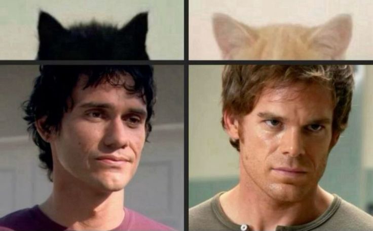 Dark Passenger tweet media